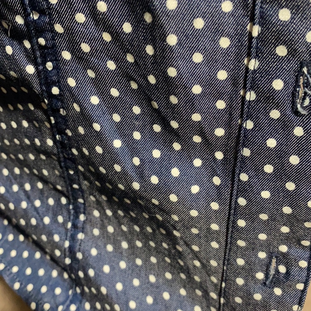 Polka Dot Chambray - image 3
